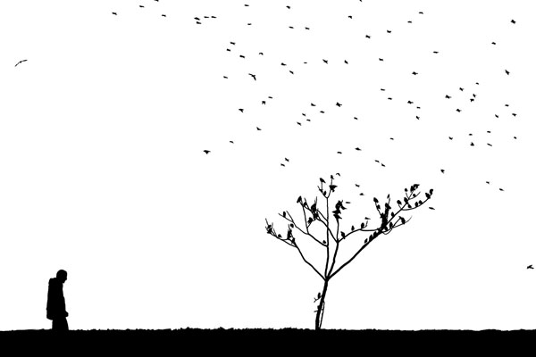 Photograph Della Latta Massimo  Birds on One Eyeland